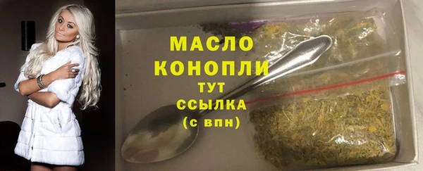 стаф Новозыбков