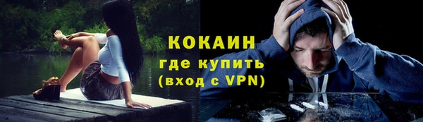 стаф Новозыбков