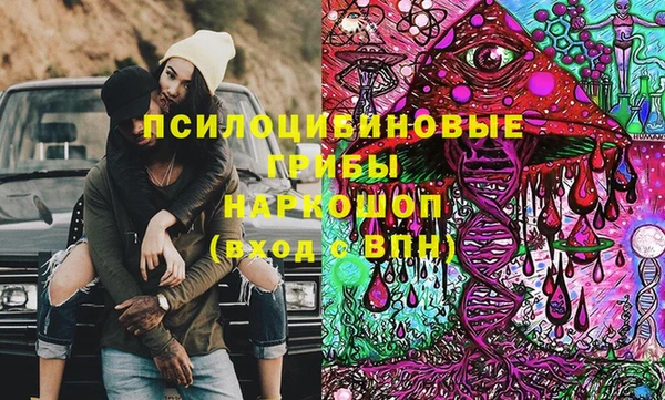 ECSTASY Новодвинск
