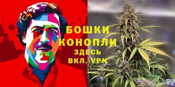стаф Новозыбков