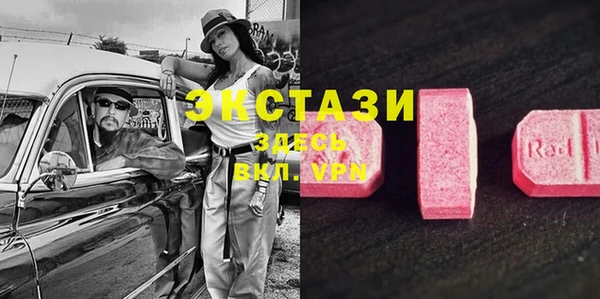 ECSTASY Новодвинск