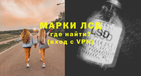 стаф Новозыбков