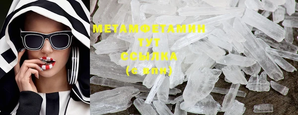 стаф Новозыбков