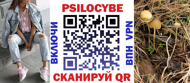 Псилоцибиновые грибы мухоморы  Махачкала 