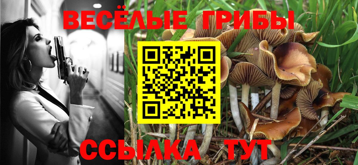 МЕФ   LSD-25  Где продают наркотики?  Махачкала  COCAIN  Вход с VPN  ГАШ  Марихуана 
