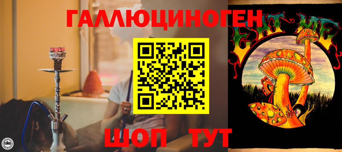 Галлюциногенные грибы Psilocybine cubensis  Махачкала 